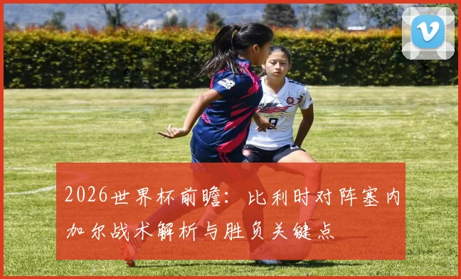2026世界杯前瞻：比利时对阵塞内加尔战术解析与胜负关键点