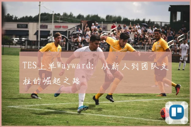 TES上单Wayward:从新人到团队支柱的崛起之路