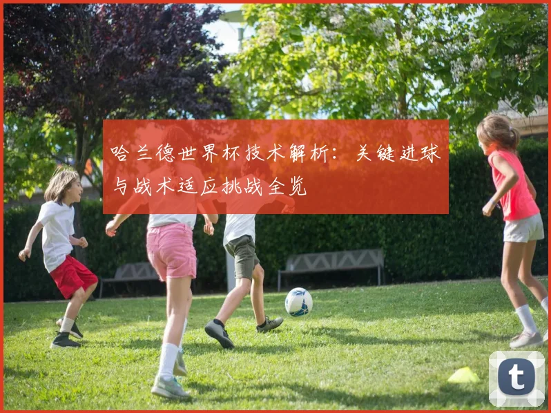 哈兰德世界杯技术解析:关键进球与战术适应挑战全览