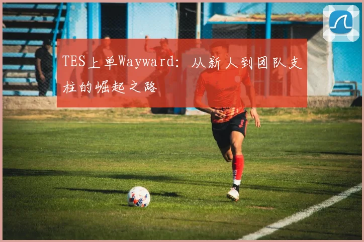 TES上单Wayward：从新人到团队支柱的崛起之路