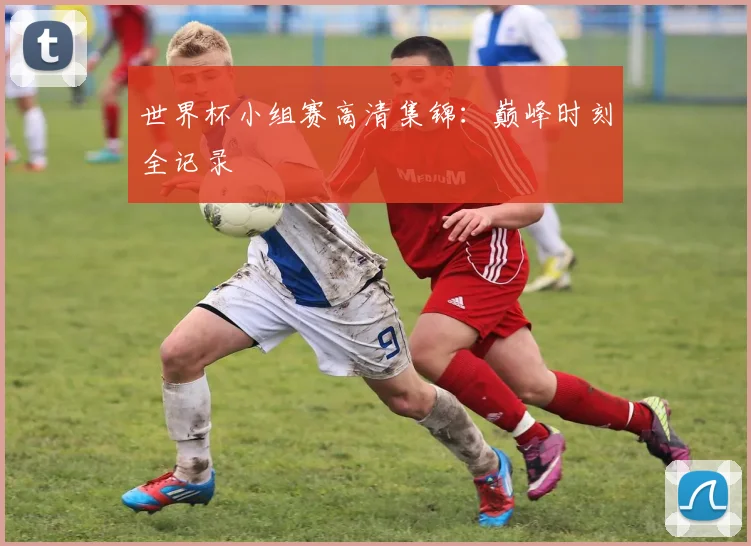 世界杯小组赛高清集锦:巅峰时刻全记录